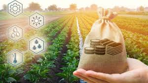 Agribusiness CA Services Indore