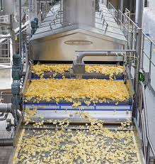 Food Processing Industry - CA Services